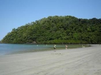 Cape Trib Farm Bed and Breakfast Cape Tribulation Eksteriør billede